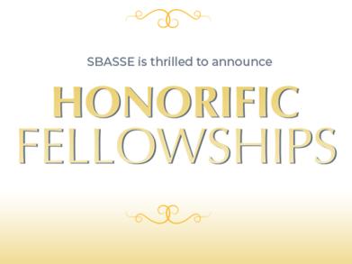 SBASSE Introduces New Fellowship Programme for Undergraduates 