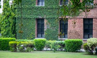 LUMS